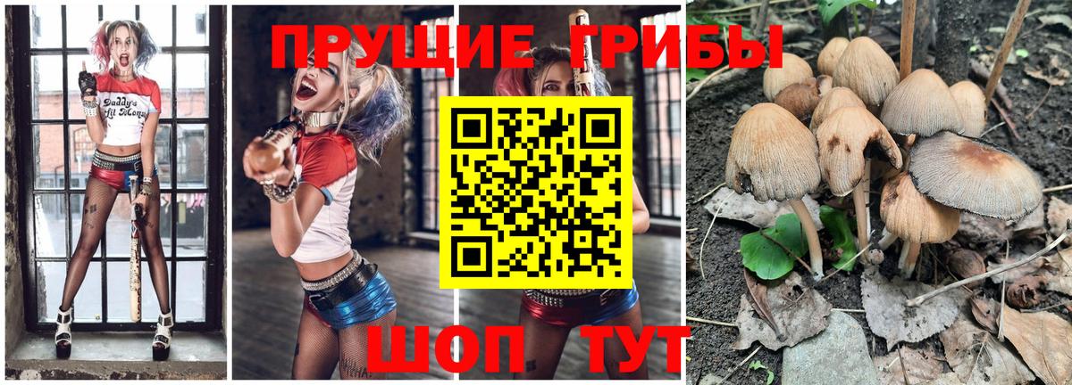 Нефтекамск  Псилоцибиновые грибы мухоморы  Вход с VPN 